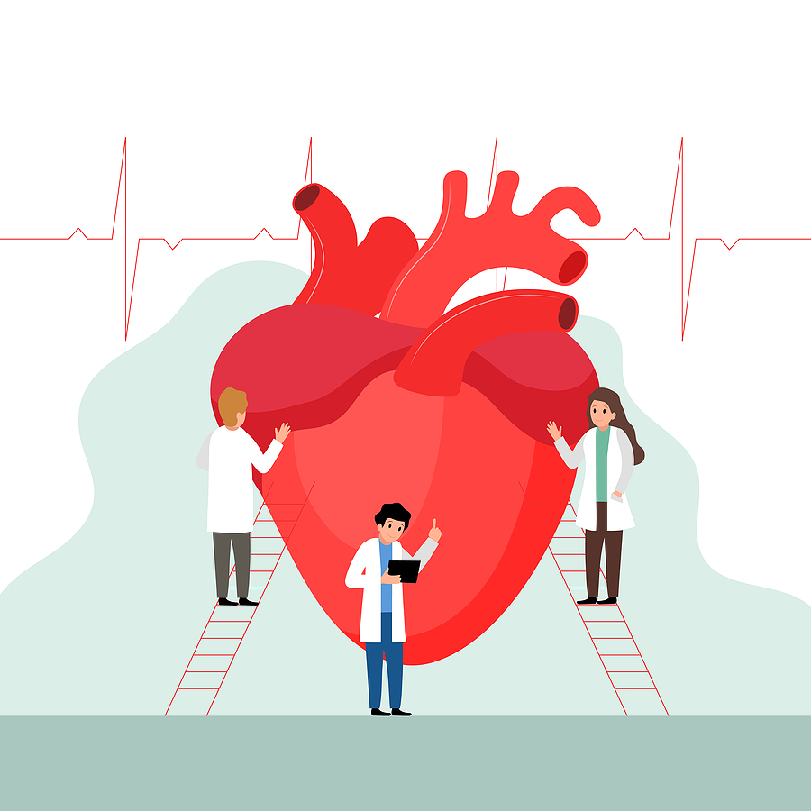 Heart Research Or Diagnotic Concept. Doctors Examining The Heart