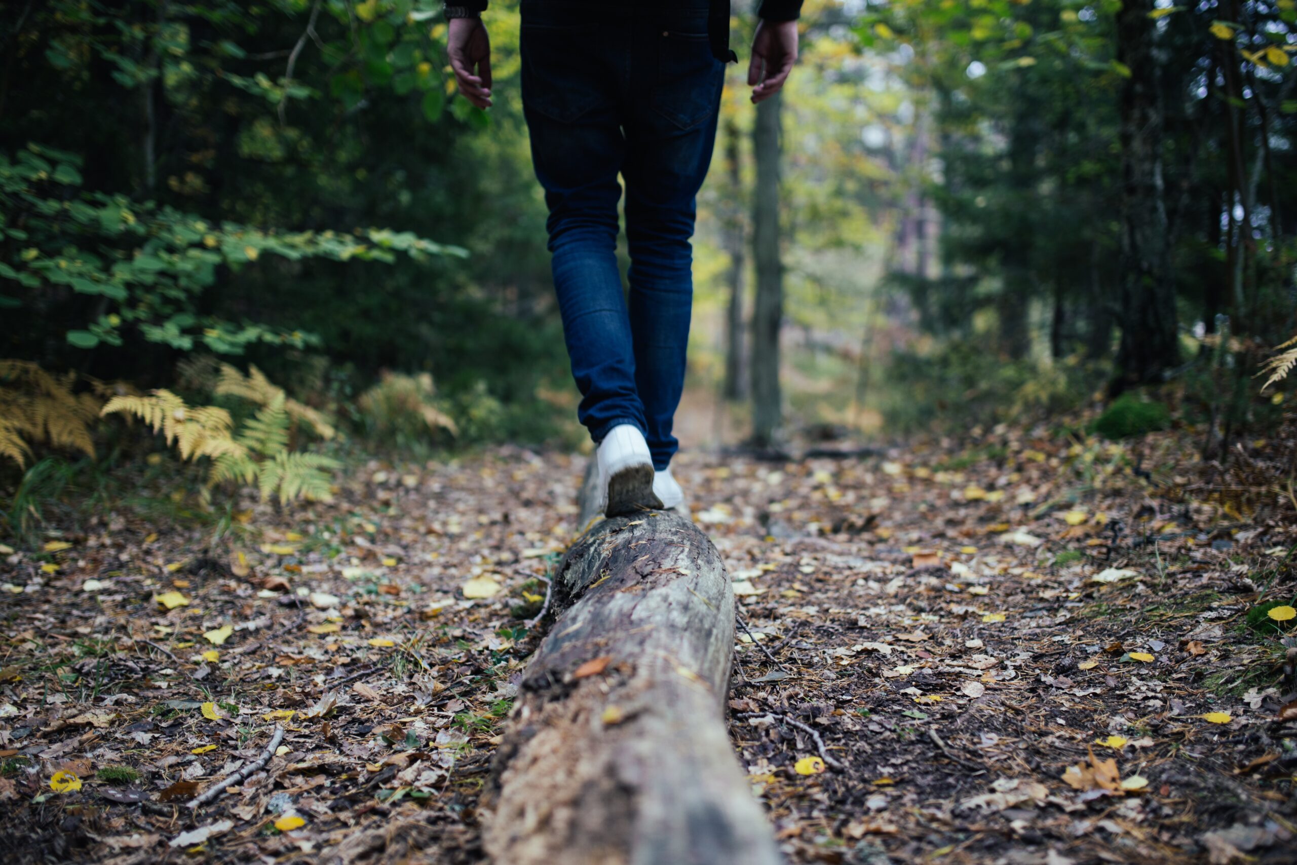 25. Jon Flobrant Unsplash