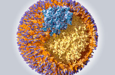 Structure Of A Low Density Lipoprotein Particle