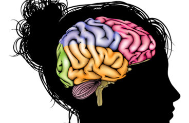 Woman Brain Concept