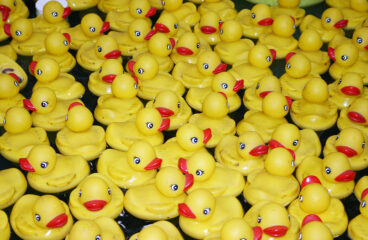 Rubber Ducks In Water