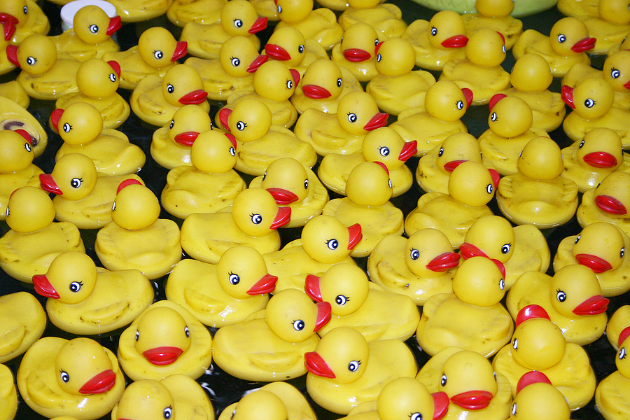 Rubber Ducks In Water