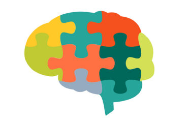 Human Brain In Jigsaw Puzzles Shape On White Background. For Cog