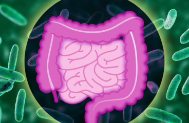 Ynews Gut Health 380842671