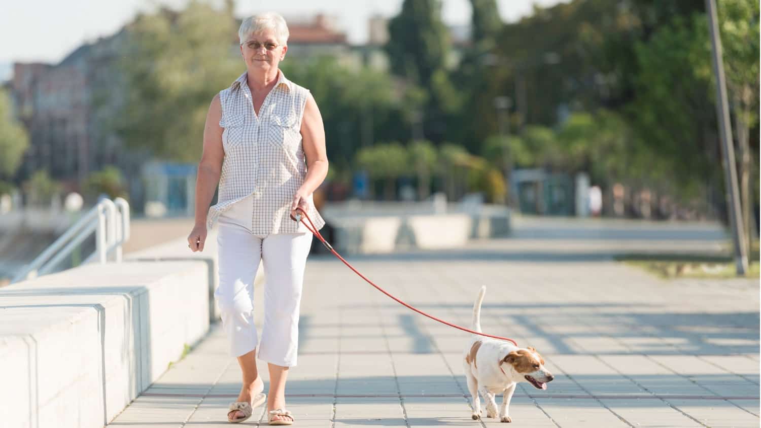 Sixty And Me Walking Well How To Avoid Tripping On Uneven Ground Or Broken Paving